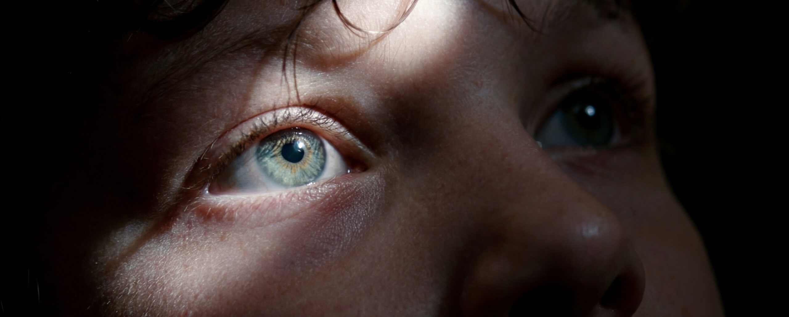 Maoris Creantor - Artist Island